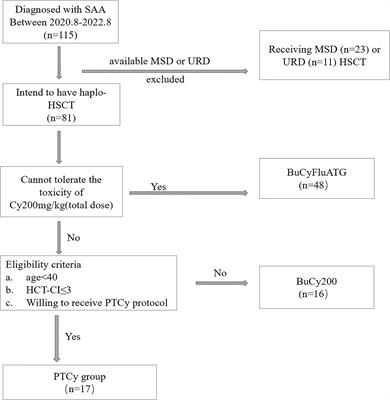 Low-dose post-transplant cyclophosphamide with G-CSF/ATG based haploidentical protocol provides favorable outcomes for SAA patients